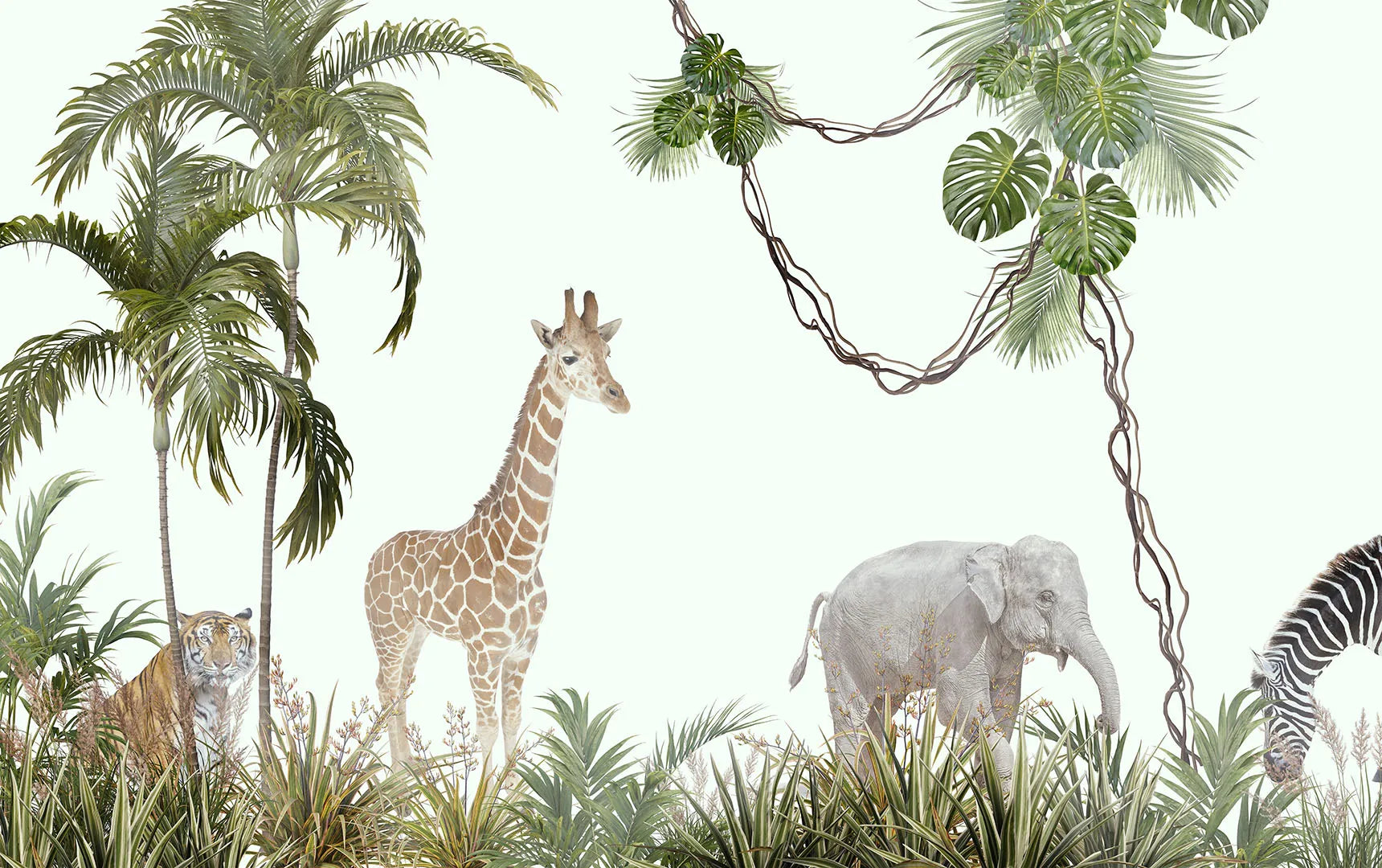 An Up-Close Encounter with Gentle Giants