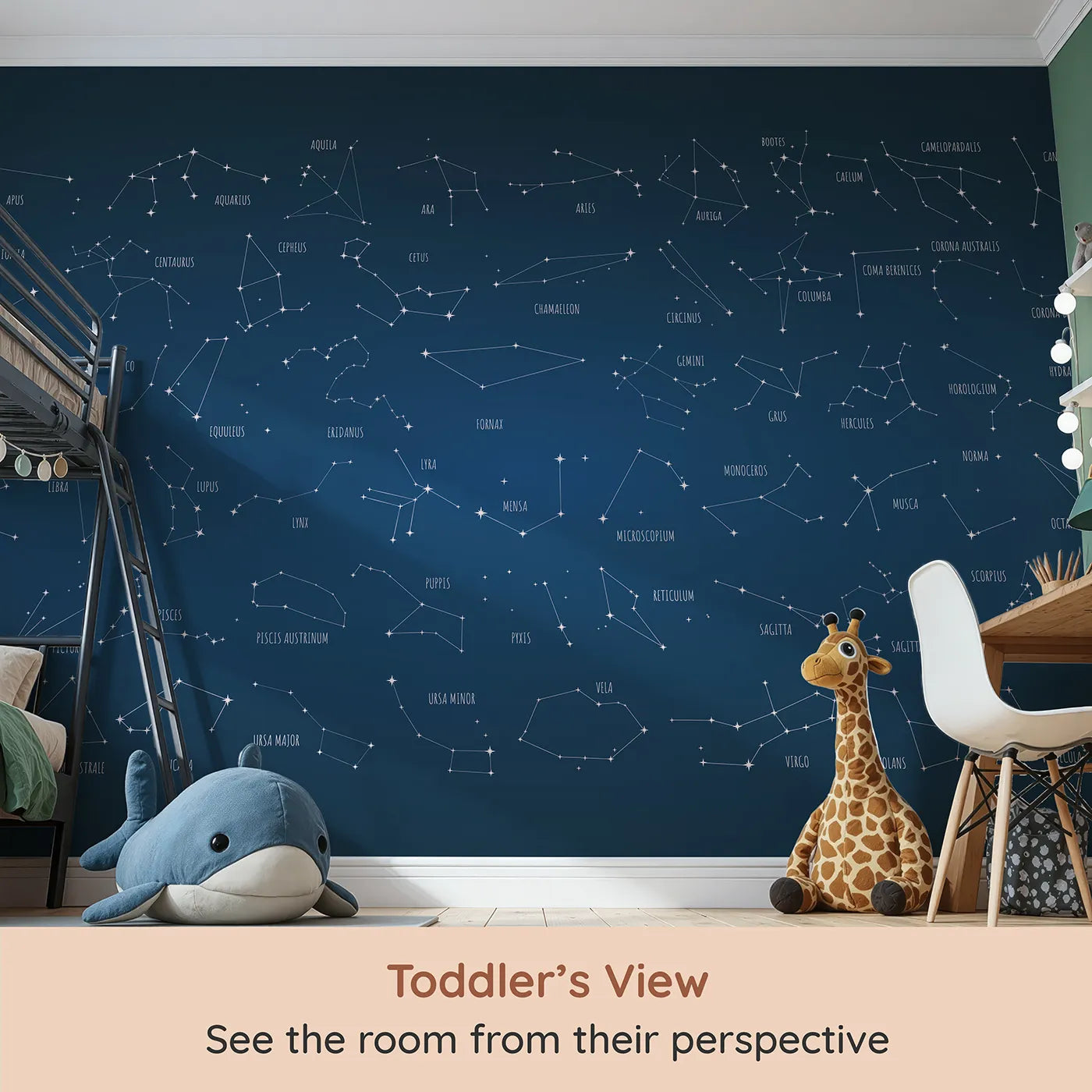 Whimsy Tots Constellation Chart Wall Mural (Turn Their Room into a Celestial Observatory) from your child's view.Gender-Neutral