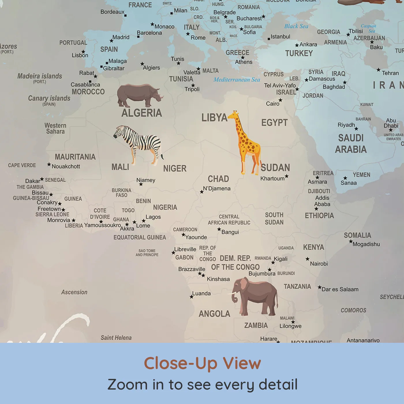 Close-up view of Whimsy Tots' Winter Animal World Map Wall Mural (Turn Their Room into a Snowy, Global Expedition).Gender-Neutral