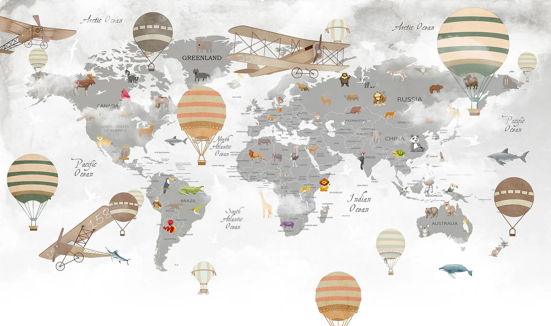 A Timeless, Adventurous Journey for a Little Explorer