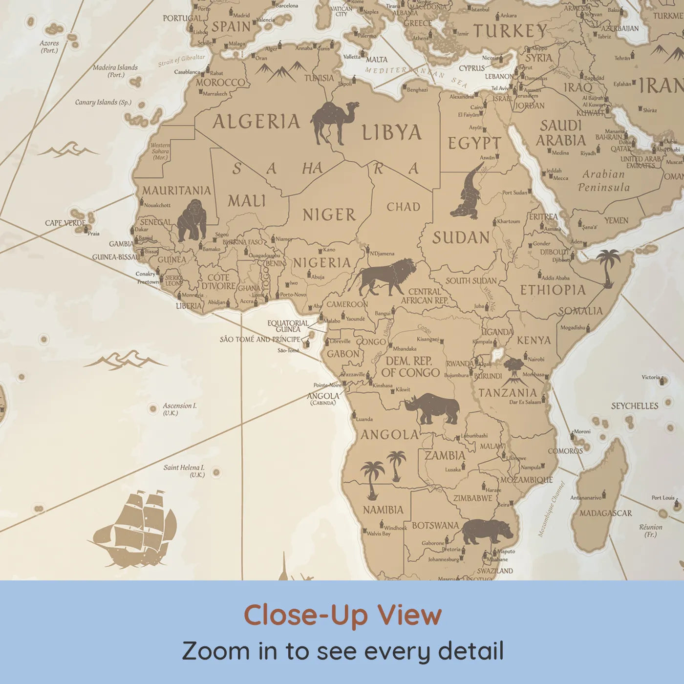 Close-up view of Whimsy Tots' Vintage World Map Wall Mural (Turn Their Room into a Classic Explorer's Chart Room).Gender-Neutral