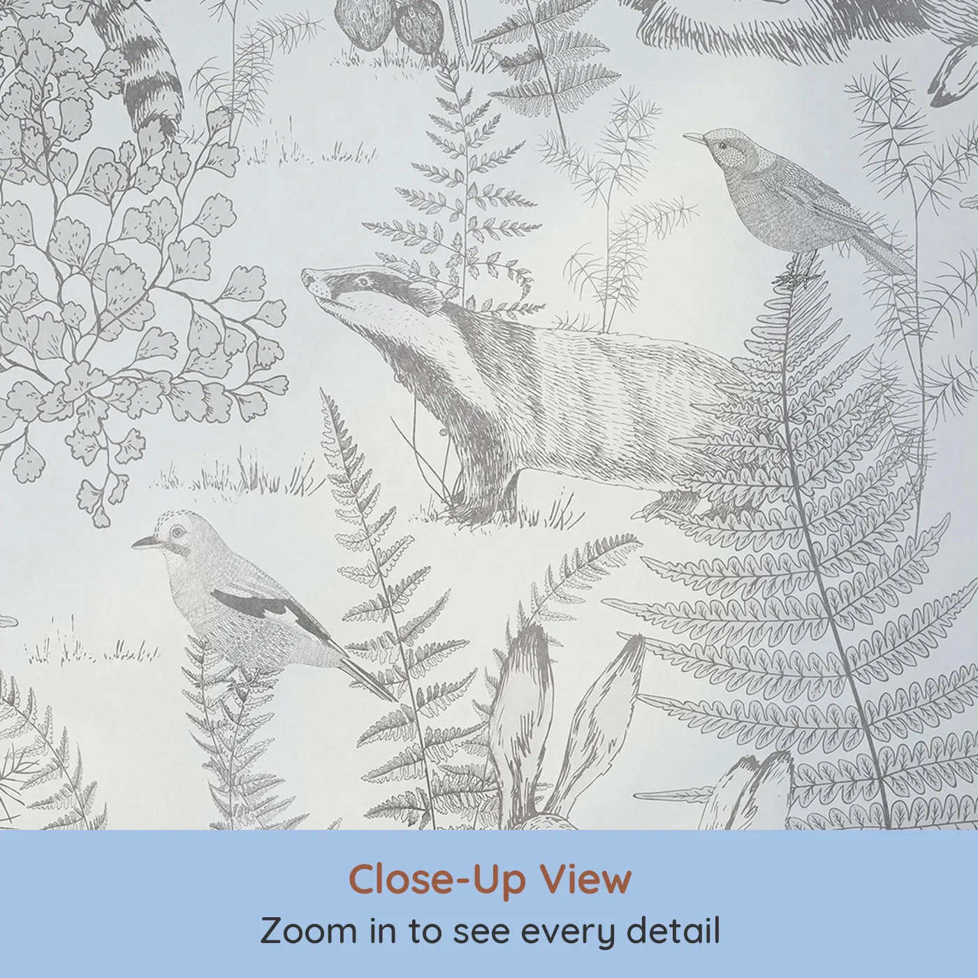 Close-up view of Whimsy Tots' Woodland Sketch Wall Mural (Turn Their Room into a Page from a Classic Nature Book).Gender-Neutral