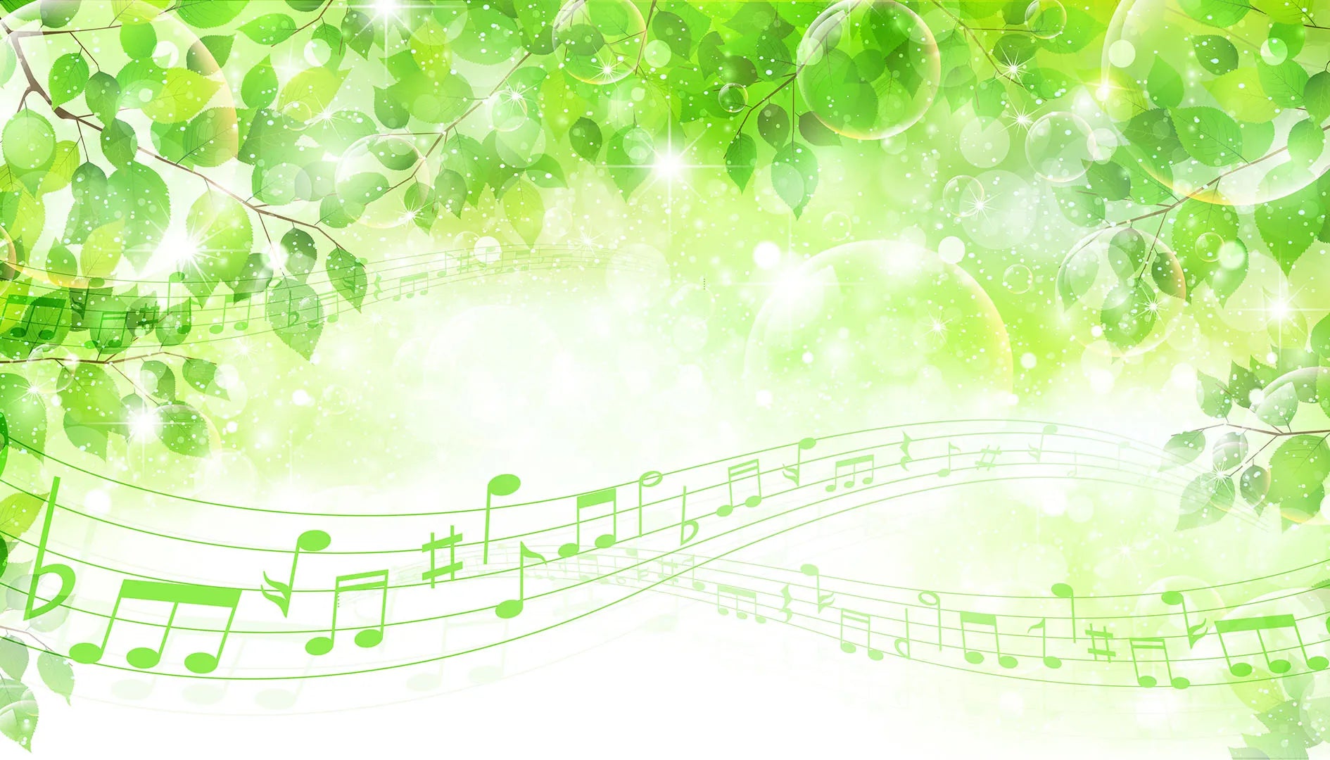 A Place Where Music and Magic Grow on Trees