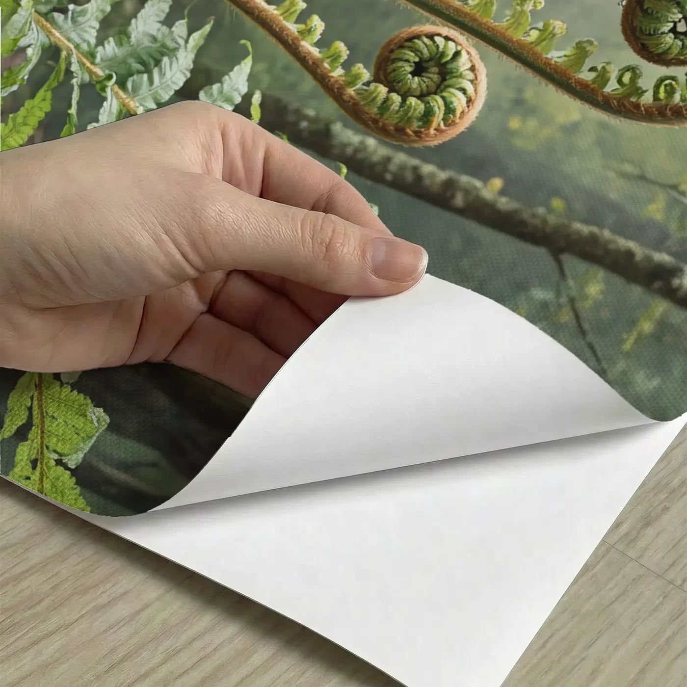 Peel-and-stick detail of Unfurling Fern Spiral Wallpaper Mural by Whimsy Tots