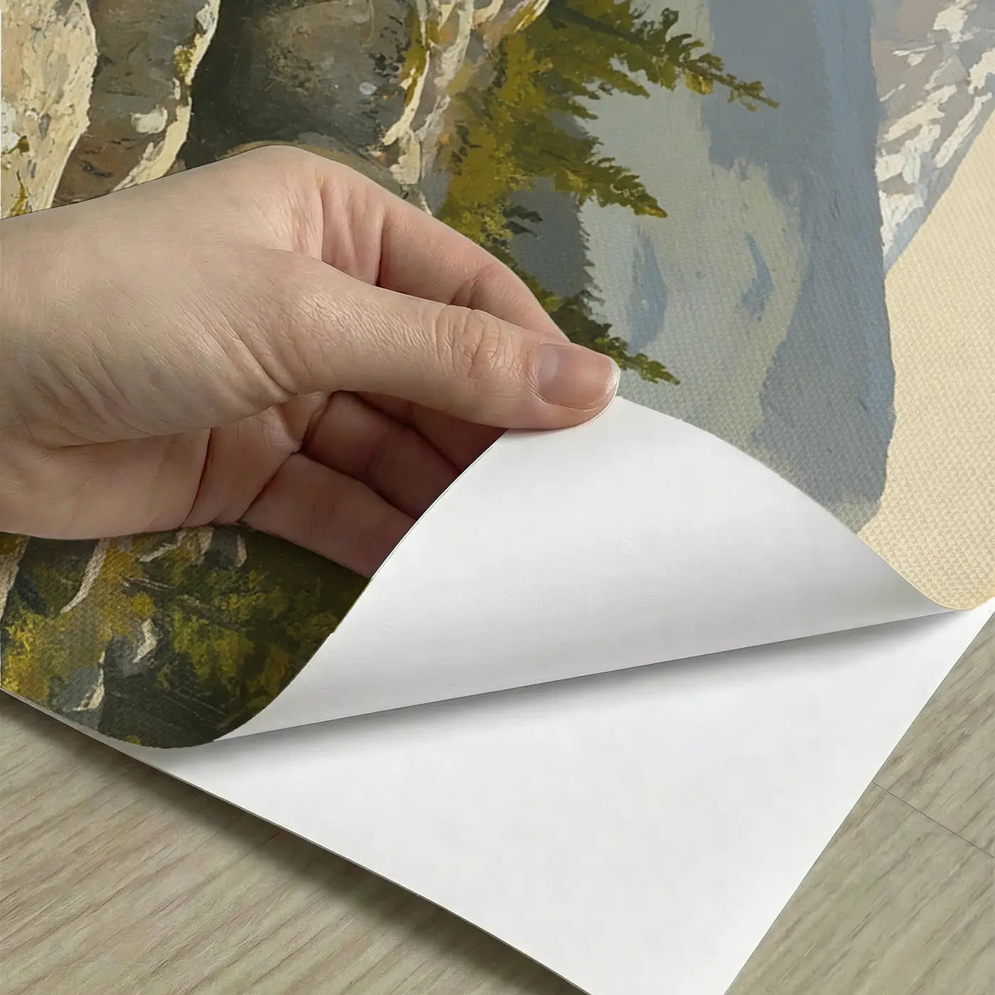 Peel-and-stick detail of Mountain Boulder Stream Rapids Wallpaper Mural by Whimsy Tots