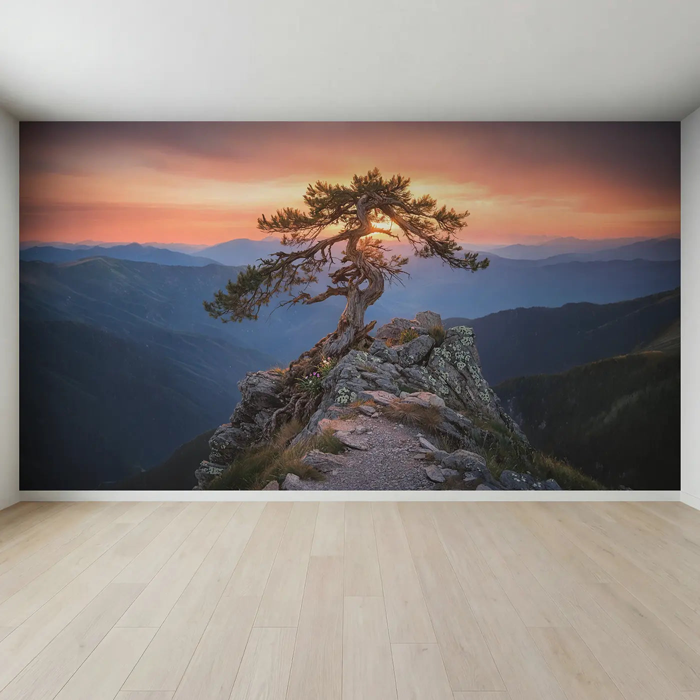 Full view of Ancient Windswept Pine Summit Wallpaper Mural by Whimsy Tots