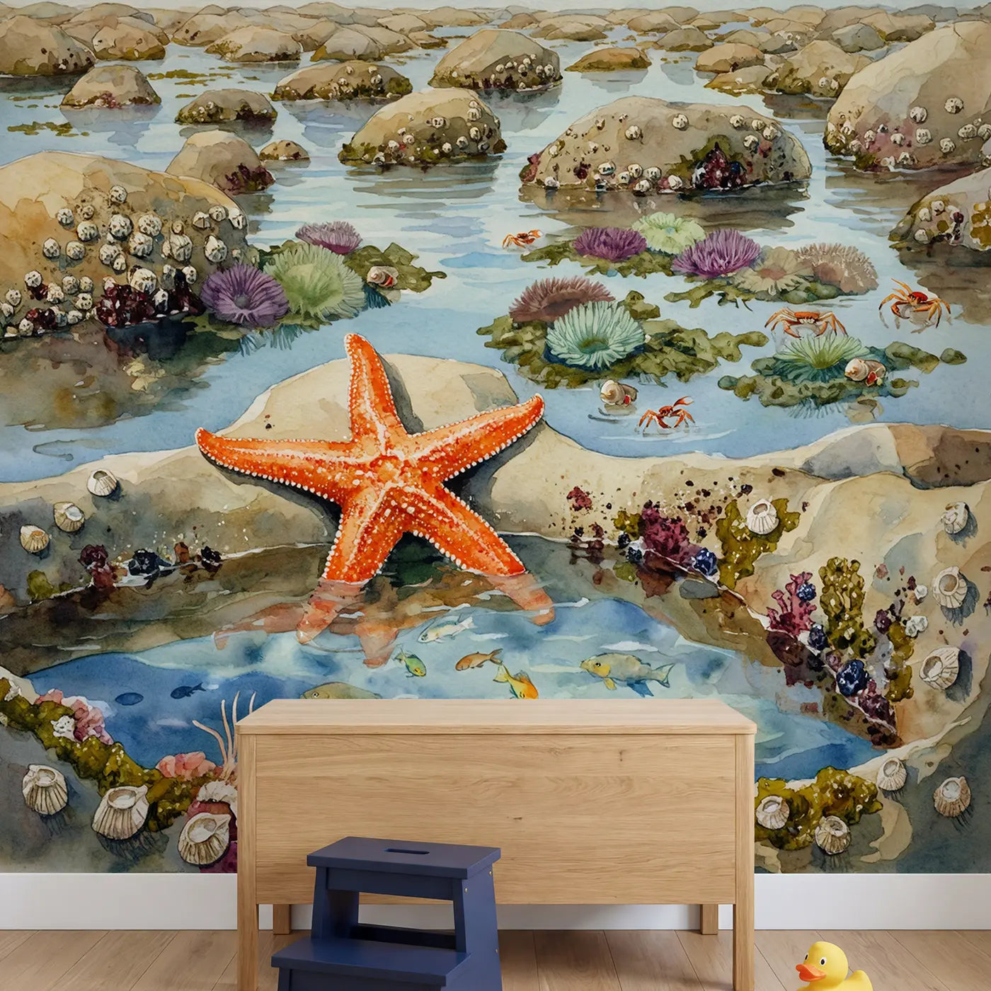Tide Pool Starfish Close Up Wallpaper Mural in playroom setting by Whimsy Tots