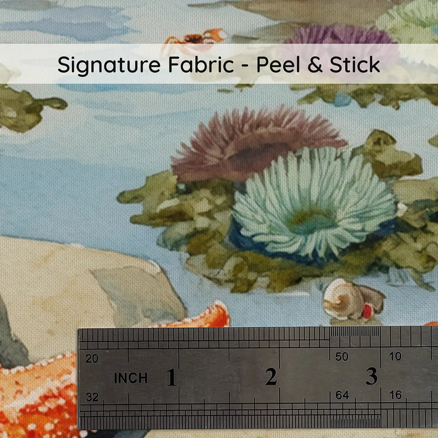 Fabric texture close-up of Tide Pool Starfish Close Up Wallpaper Mural by Whimsy Tots
