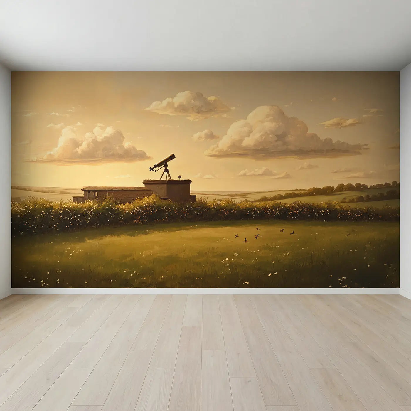 Full view of Telescope Rooftop Pointed Clouds Wallpaper Mural by Whimsy Tots