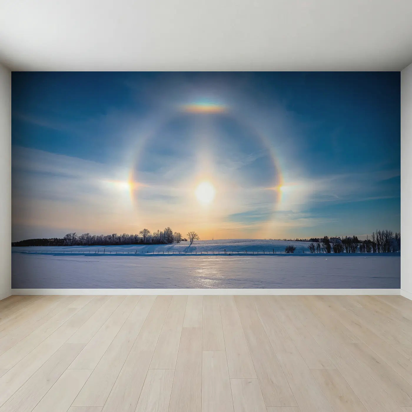 Full view of Winter Sun Dog Halos Wallpaper Mural by Whimsy Tots