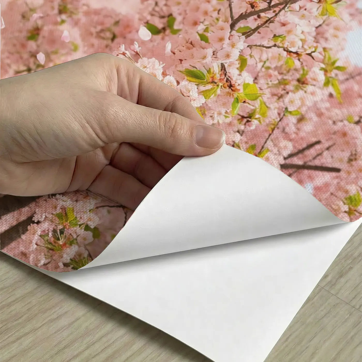 Peel-and-stick detail of Cherry Blossom Spring Renewal Wallpaper Mural by Whimsy Tots