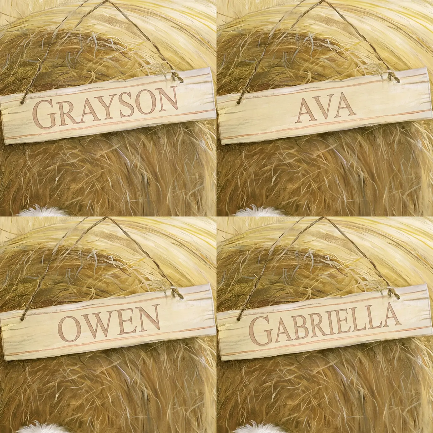 Four name preview examples of Little Lamb Hay Personalized Wall Mural by Whimsy Tots
