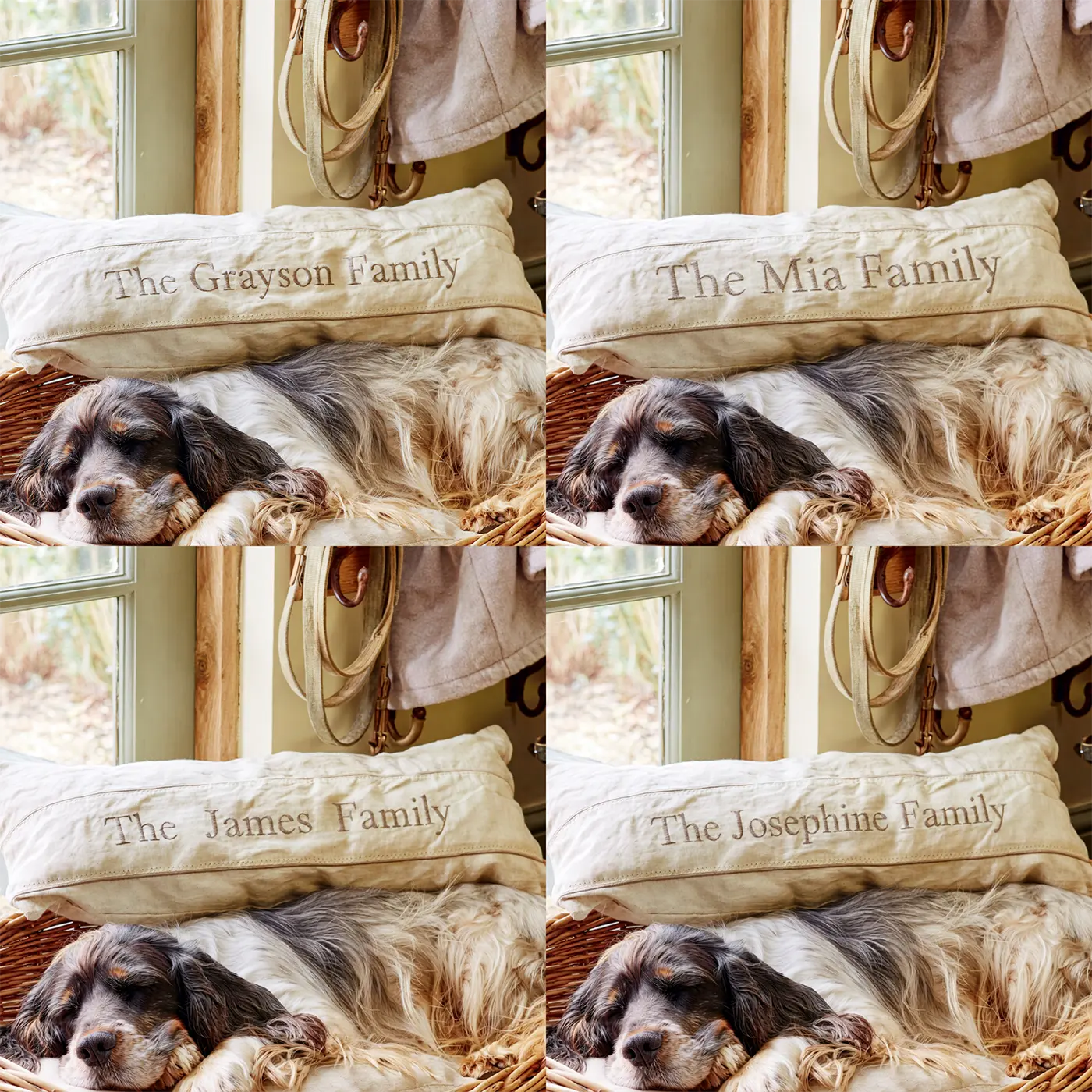 Four name preview examples of Family Dog Bed Personalized Wall Mural by Whimsy Tots