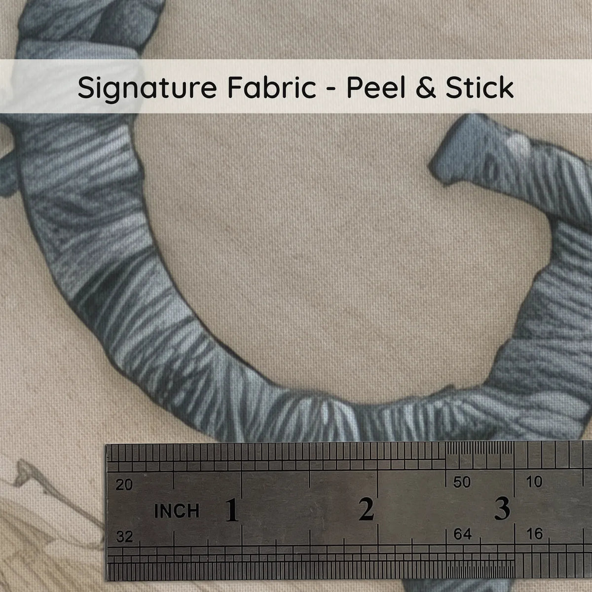 Storybook personalized wall mural of a cheetah cub in a name hammock, name close-up at true size, by Whimsy Tots