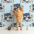 Lovely child standing in front of Whimsy Tots Floral Raccoon Peek Wallpaper in Sky Blue with raccoon, flower, crown, leaf, branch in design.