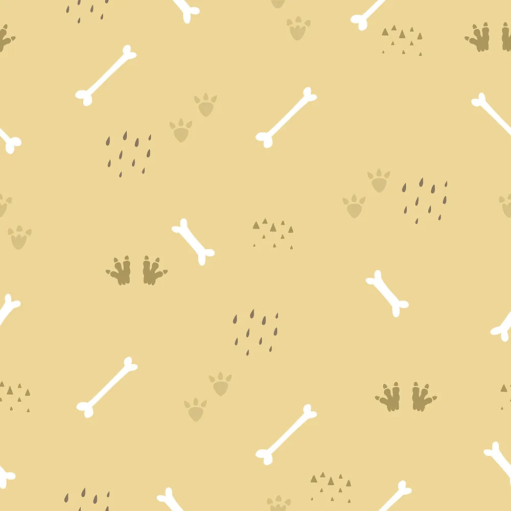 Where Little Dino Fossils Rest Among the Tracks