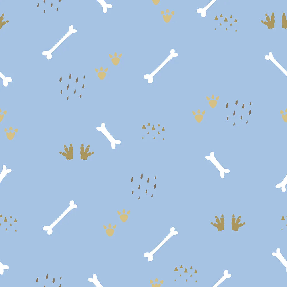 Where Dino Fossils Play Under a Blue Sky