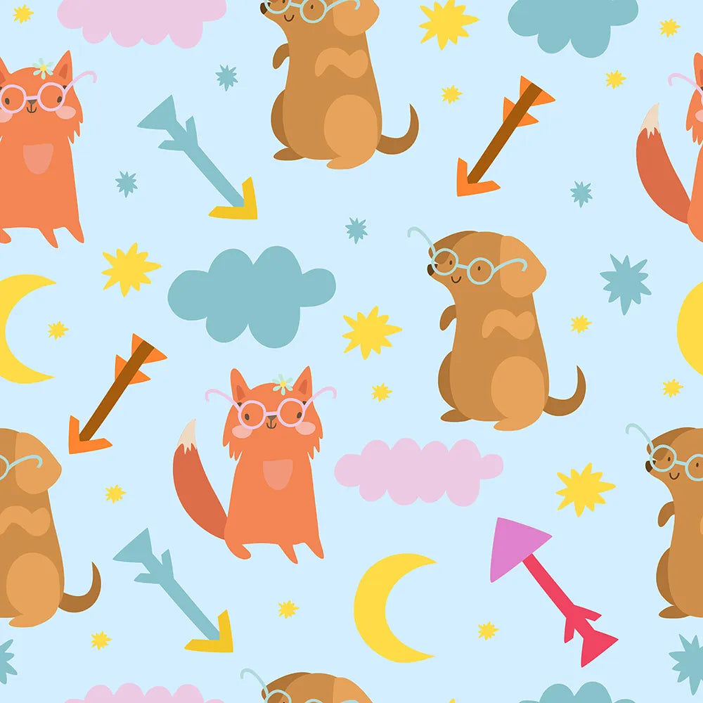 A Sky Full of Starlight and Stories