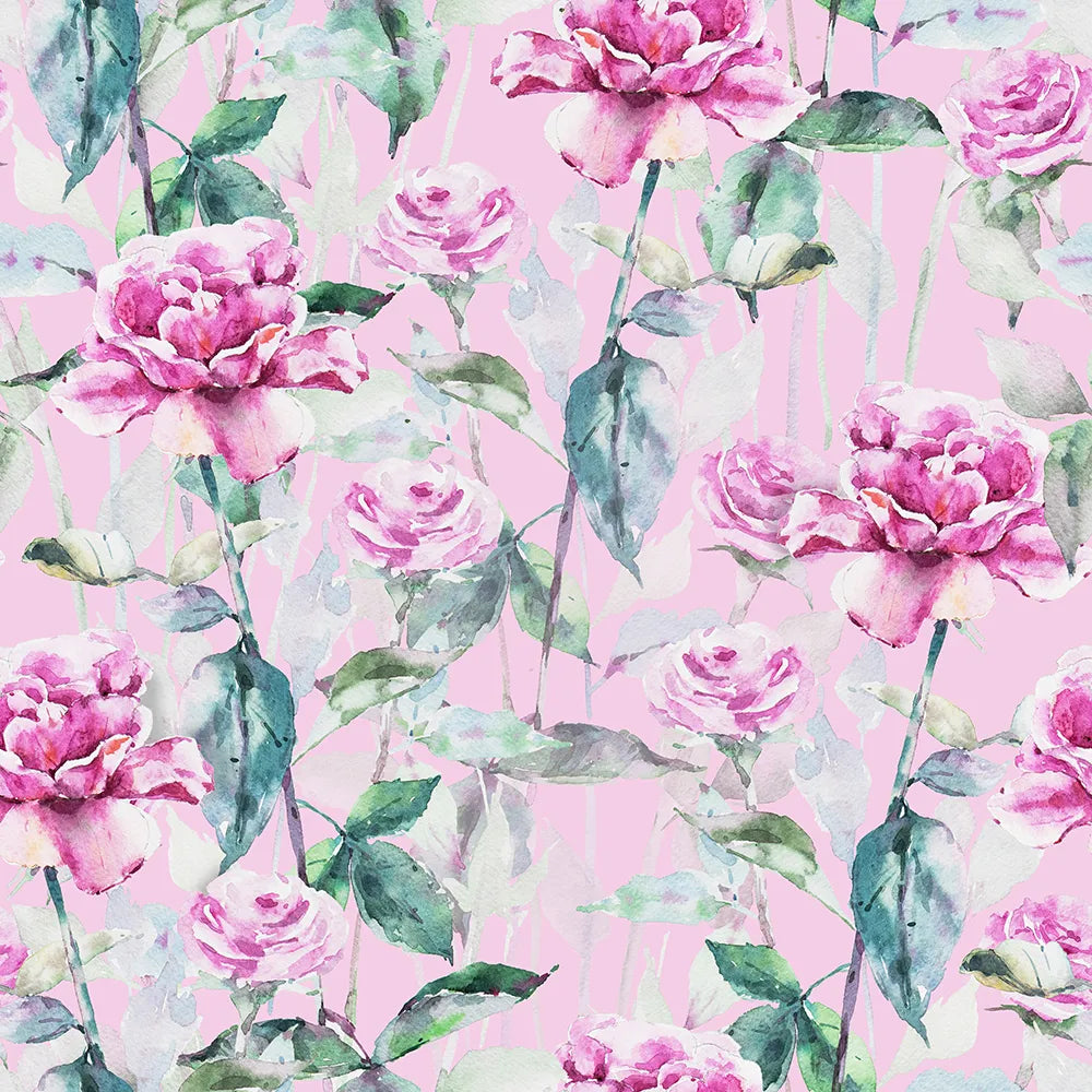 Where Pink and Blue Roses Gently Climb