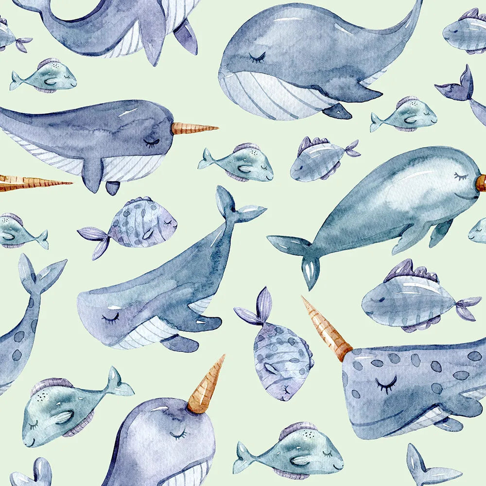 Where Friendly Sea Creatures Play