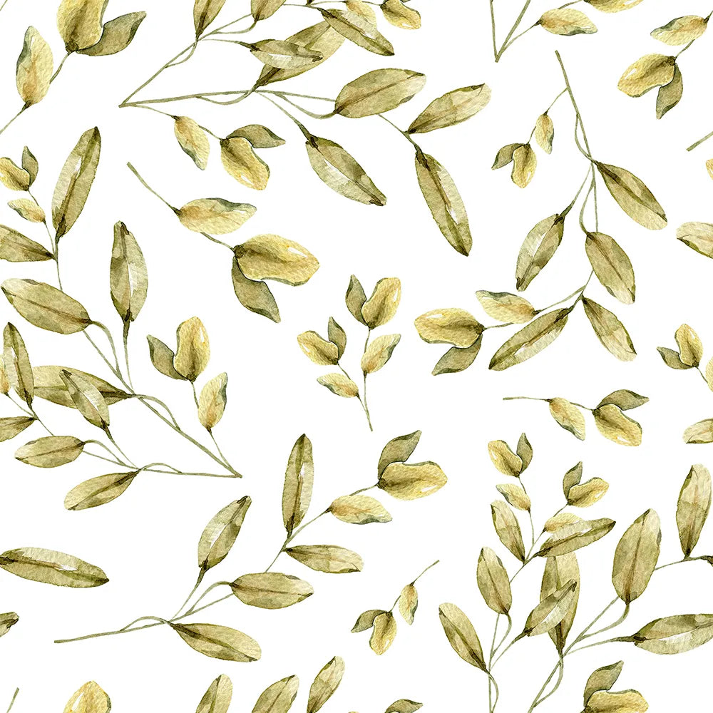 Where Olive Branches Gently Glow