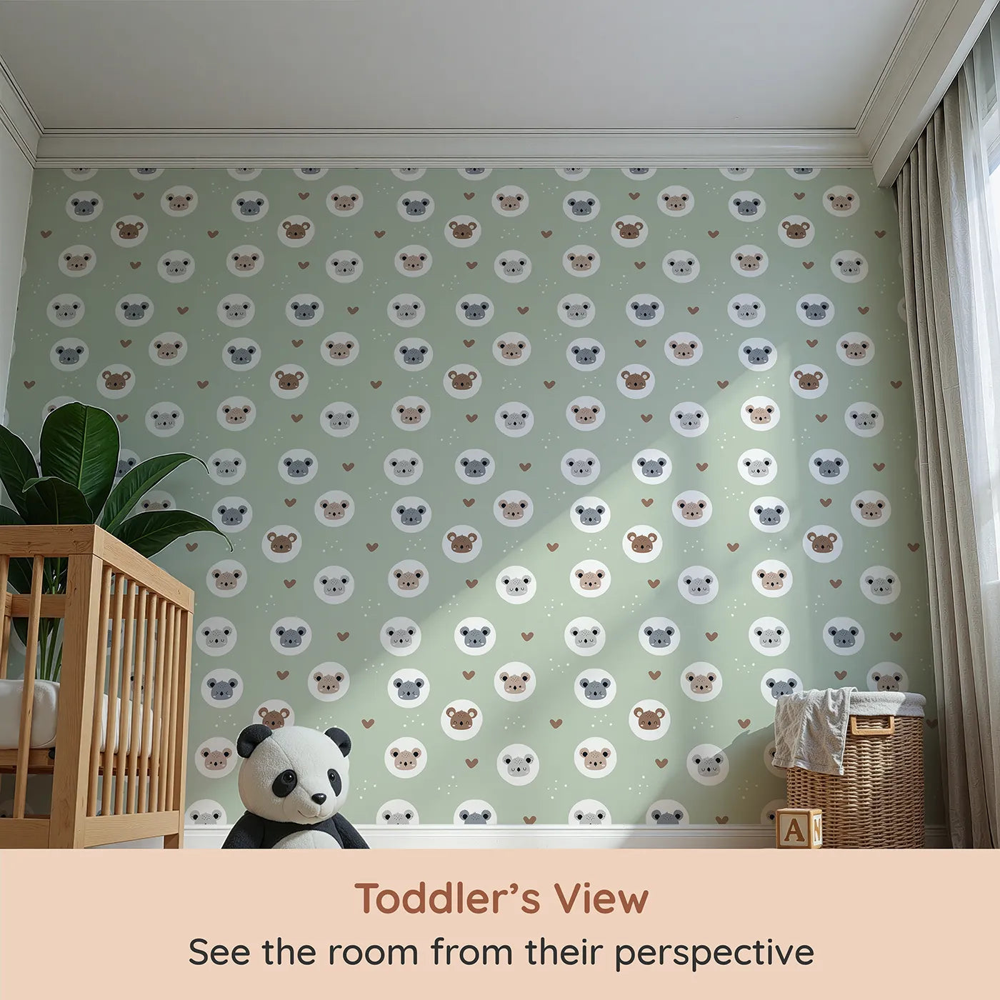 Whimsy Tots Cuddly Koala Circle Wallpaper in Sage Green (W3500C) from your child's view.Smiling koala faces rest gently among soft hearts on a fresh sage green sky.