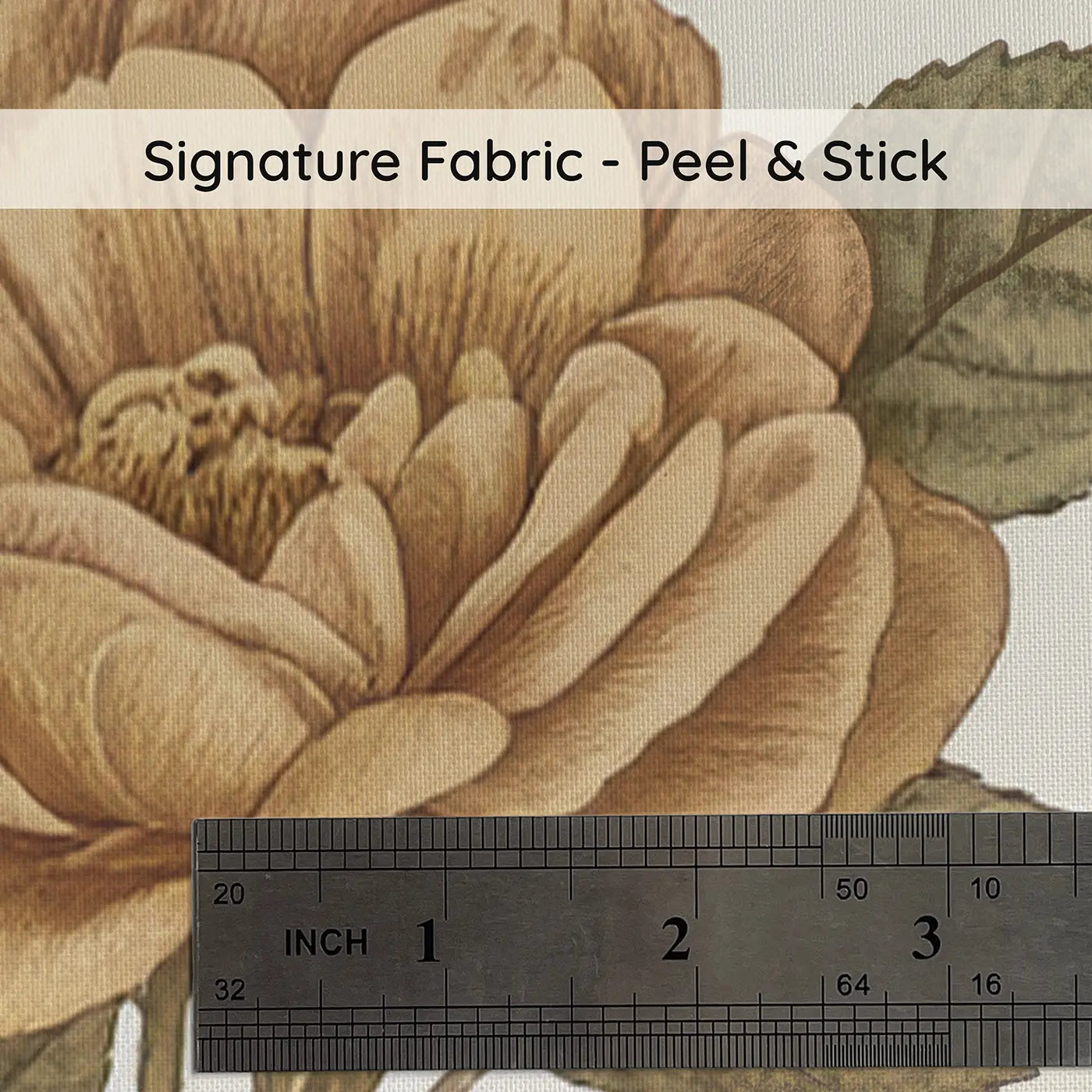 Rose Study Detailed Botanical Elegance on peel and stick fabric - Whimsy Tots