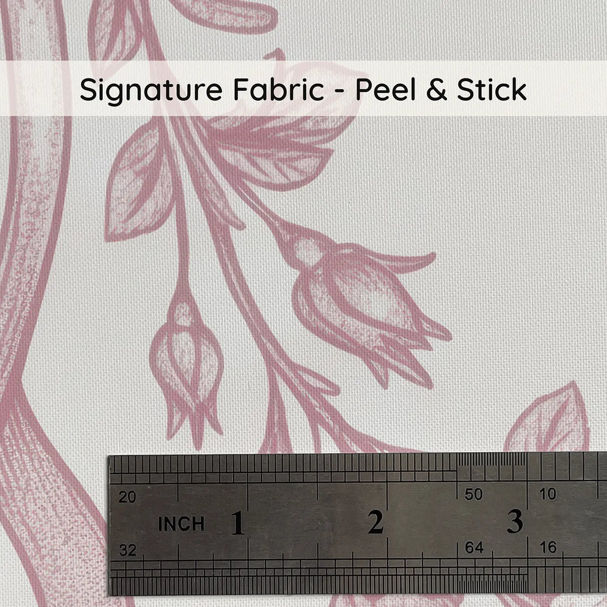 Ribbon Rose Toile Botanical Wallpaper | Whimsy Tots